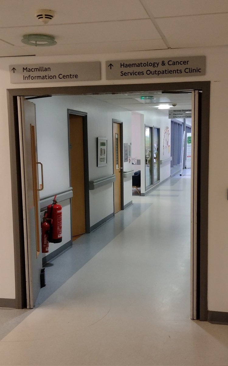 The official Big Pink Dress tweet media