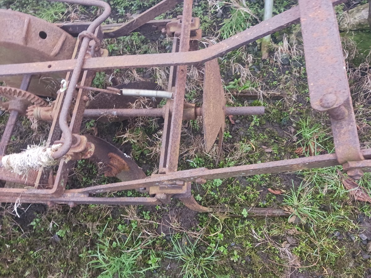 EcoSeeds tweet media