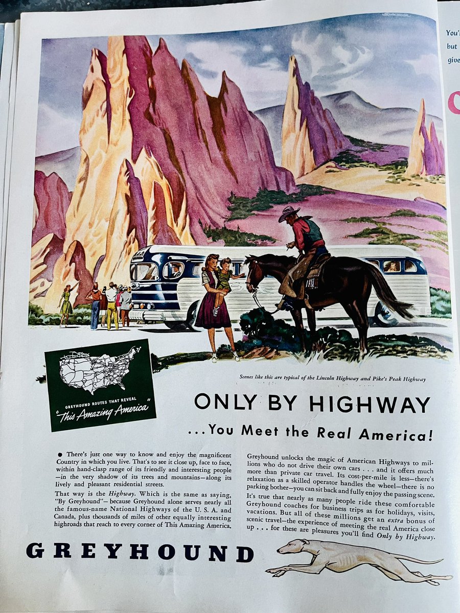 cairoqween tweet media