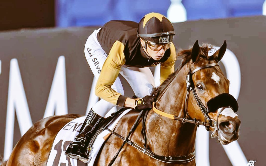 Handicap Ratings revisions after #DWCCarnival meeting 5👇🏻

🐎 Hayyan ⬆️ 4 to 121
🐎 First Ruler ⬆️ 6 to 103
🐎 Tuz ⬆️ 6 to 112
🐎 With The Moonlight - 112
🐎 Algiers ⬆️ 5 to 120
🐎  Valiant Prince ⬆️ 3 to 118
🐎 Moqtarreb ⬆️ 4 to 102
@shamardalteam @NorthRacingClub @saadkhatri16