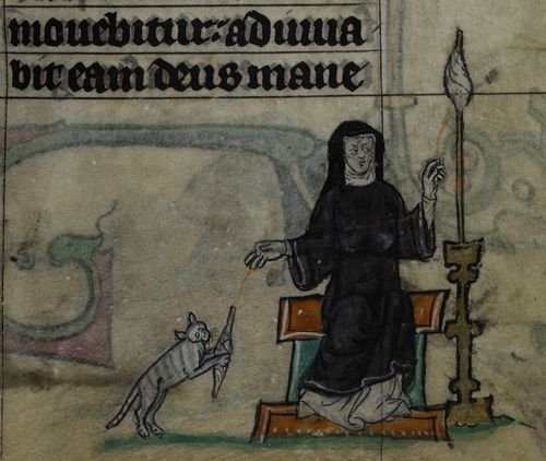 For #Caturday 🐈🐱, here is a #medieval #manuscript of a nun with her cat. #medievaltwitter #nuntastic