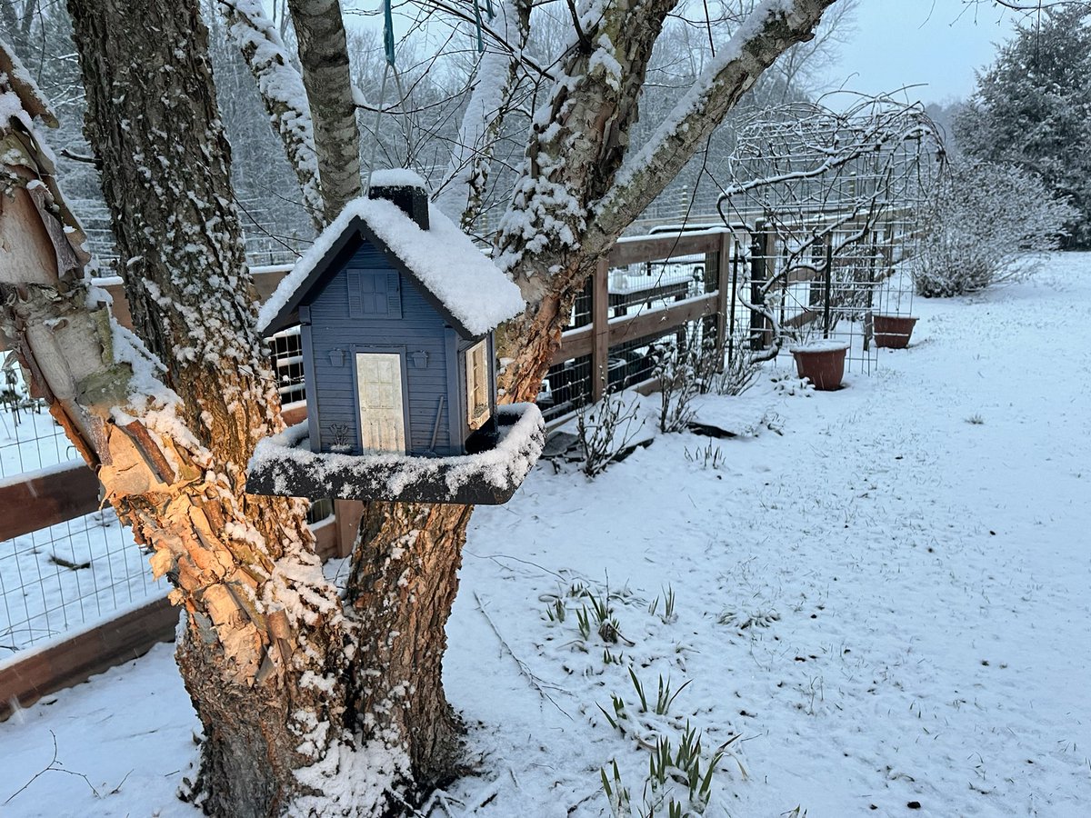 pianoman7373's tweet image. Little House Little Snow  on.soundcloud.com/G1Ppc2d5dwK8EP…  #easylistening #softmusic #pianomusic #listen #music #relaxing #elevatormusic #dinnermusic #piano #NewHampshire #Travel