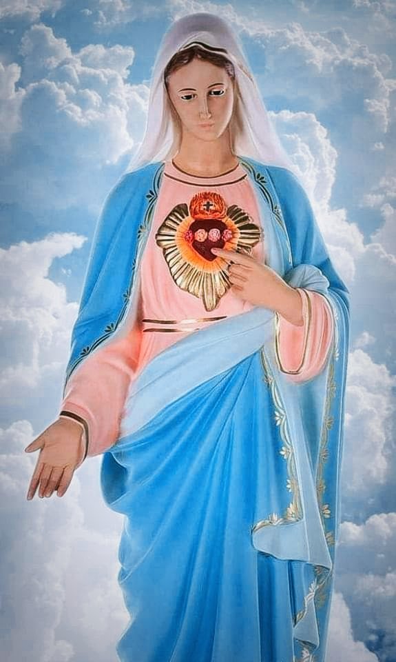 Immaculate Heart of Mary, Mother of my God, I implore through your powerful intercession the conversion of the heart of men, complete victory over sins, the return of the peace which you have promised. 🙏✝️❤️🌹🕊️

#FirstSaturday #Devotion #ImmaculateHeartOfMary