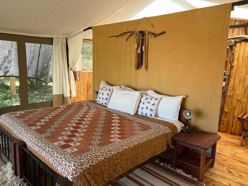 Finding luxury in the heart of the wilderness. 🌿🏕️✨

#tentedlodge #safarilodge #ecolodge #safarilife #ekorian #mugiecamp #luxurytent #safaritent #kenya #safarikenya