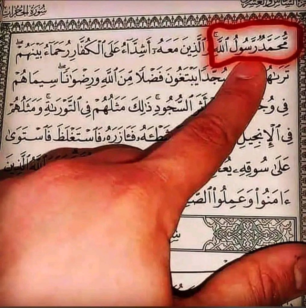 realYamaan1's tweet photo. How many Muslim will comment SAW❤️❤️ https://t.co/8au7M3wPzj
