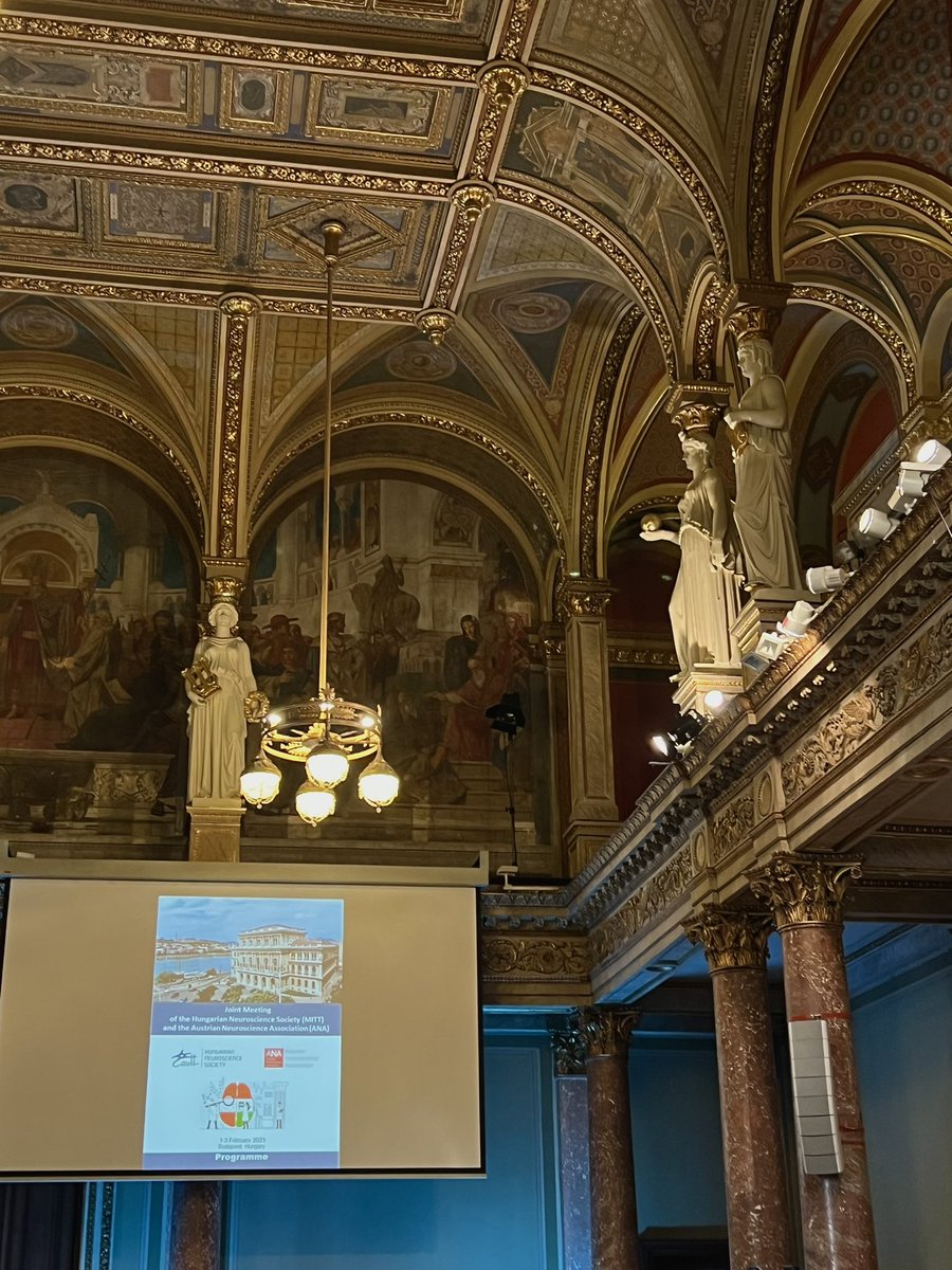 garifulinaalex's tweet photo. It was a pleasure to have the chance to present my work at a wonderful joint meeting of the Austrian Neuroscience Association and the Hungarian Neuroscience Society #ANAMITT2023!  Many thanks to the organisers for making it happen 
@AustrianNeuros1 #neuroscience https://t.co/ufWI8ZgHfO
