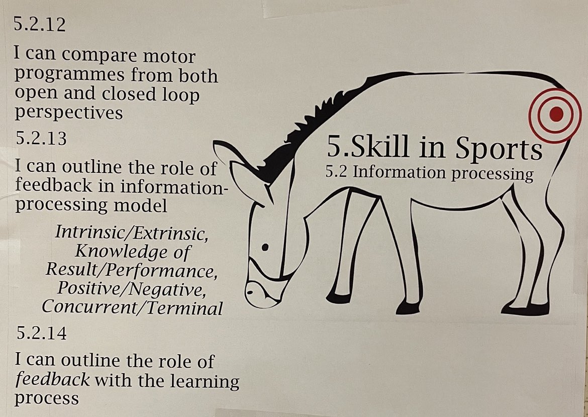 KGallagher_SCI's tweet image. we had fun this week in #IBSEHS learning the importance of concurrent feedback during a closed loop motor programme, selective attention &amp;amp; knowledge of result 😂 #ExSci #anatomyteacher @iborganization