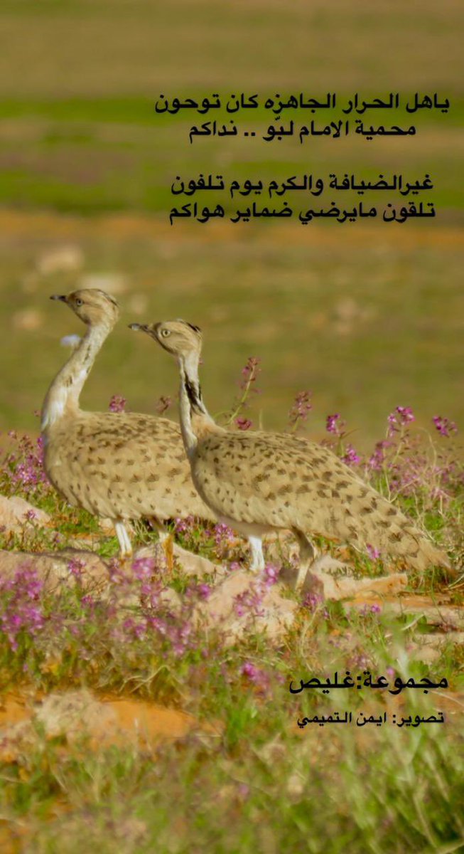 تصوير اليوم من 
 #محمية_الشمال_للصيد_المستدام 
#ابشرو_بها 
#رتويت