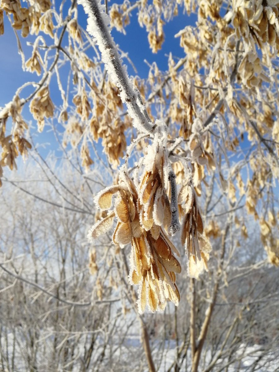 New drop on #tezos
"Frost"
2/5 editions available
Price 2.5 XTZ
Link⬇️