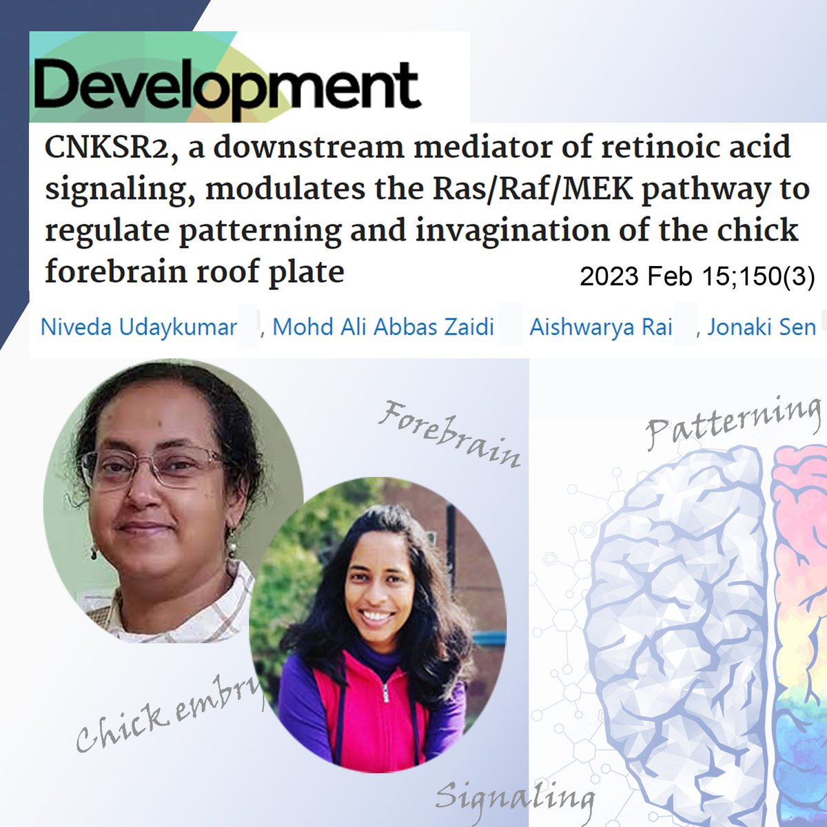 A study by Prof. Sen &amp; team identifies a critical molecular player in forebrain development in chick embryos. These significant findings could help better understand rare cerebral malformations in humans 
pubmed.ncbi.nlm.nih.gov/36734326/
<a href="/BSBEIITK1/">BSBE@IITK</a> <a href="/MehtaFF/">Mehta Family Foundation</a> <a href="/sen_jonaki/">Jonaki Sen</a> <a href="/NivedaUdaykumar/">Niveda Udaykumar</a>