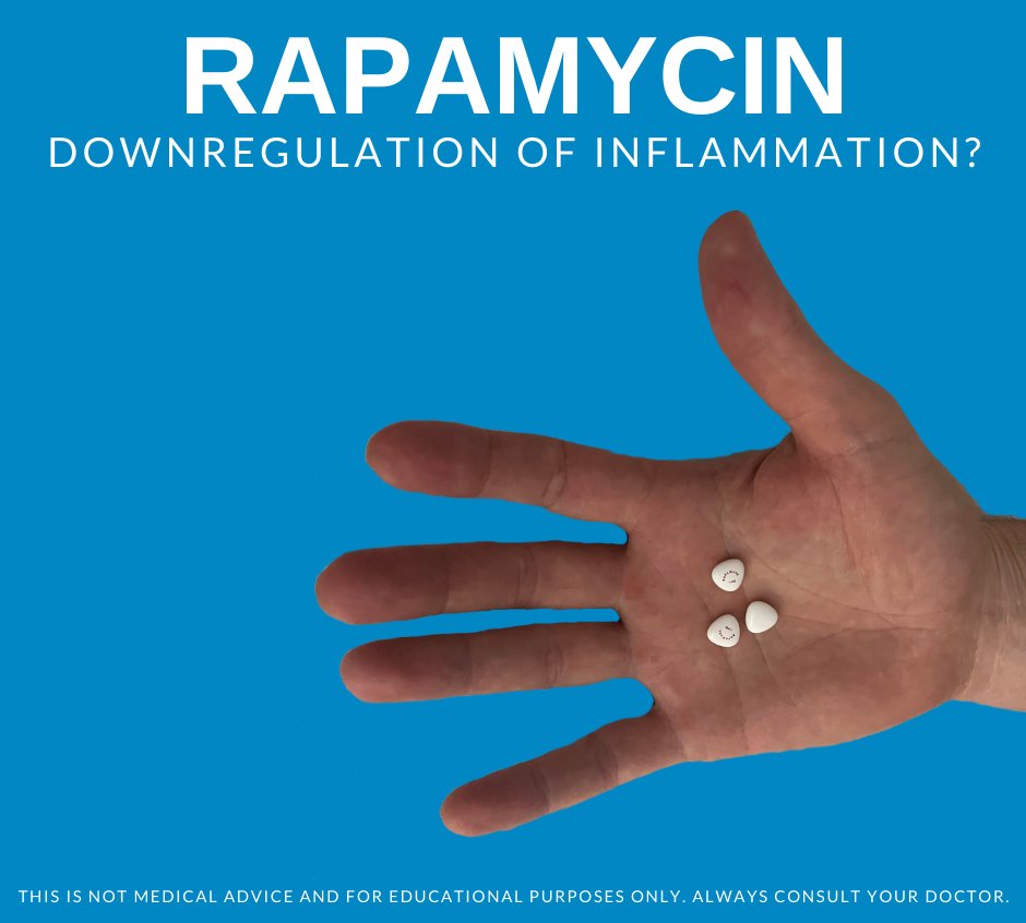 Krister Kauppi - Rapamycin Longevity Lab tweet media