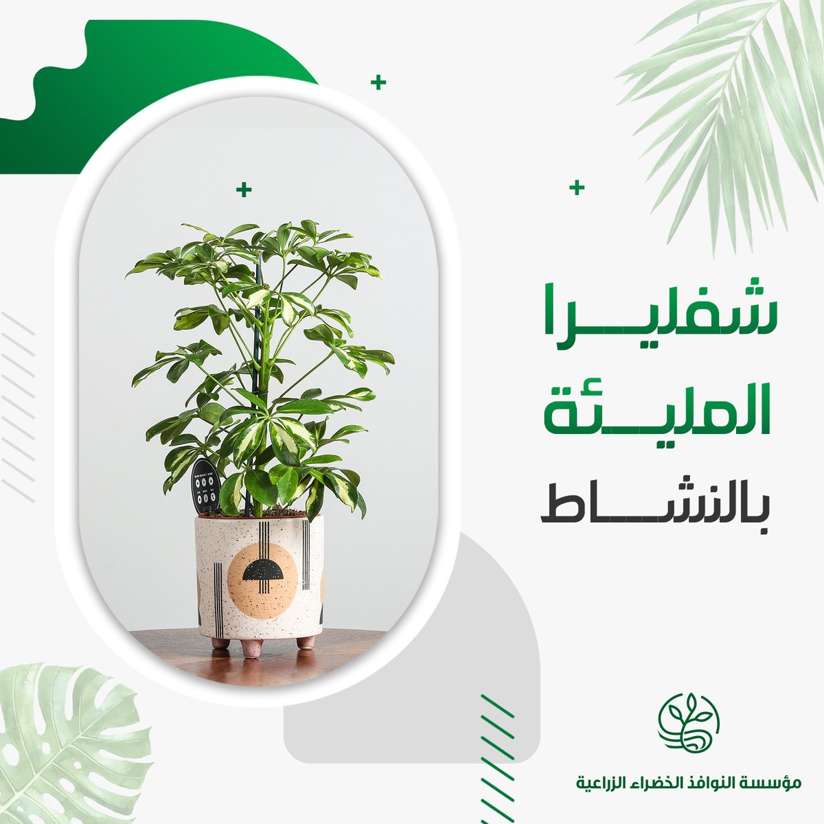 GreenWindows KSA (@GreenWindowsKSA) / Posts / X
