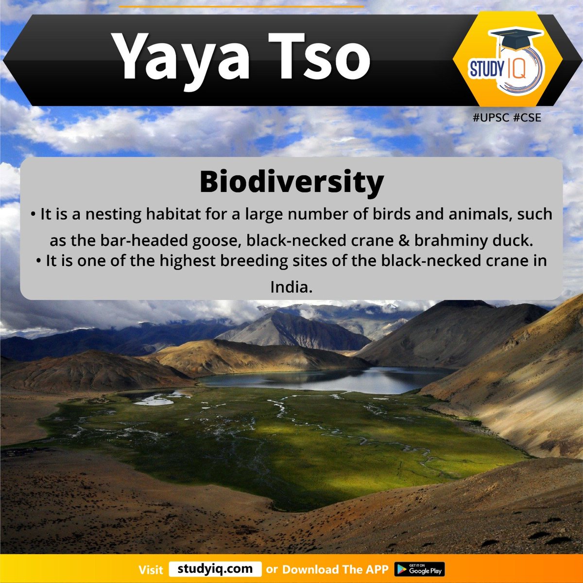 Yaya Tso

#yayatso #whyinnews #ladakh #biodiversityhieritagesite #birds #beautifullake #bhs #biologicaldiversityact #watershed #yayatsosite #biodiversity #nestinghabitat #animals #blackneckedcrane #brahminyduck #india #upsc #cse #ips #ias