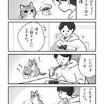 一緒にご飯を食べる様子が可愛すぎて癒される!とある「猫漫画」が話題に!