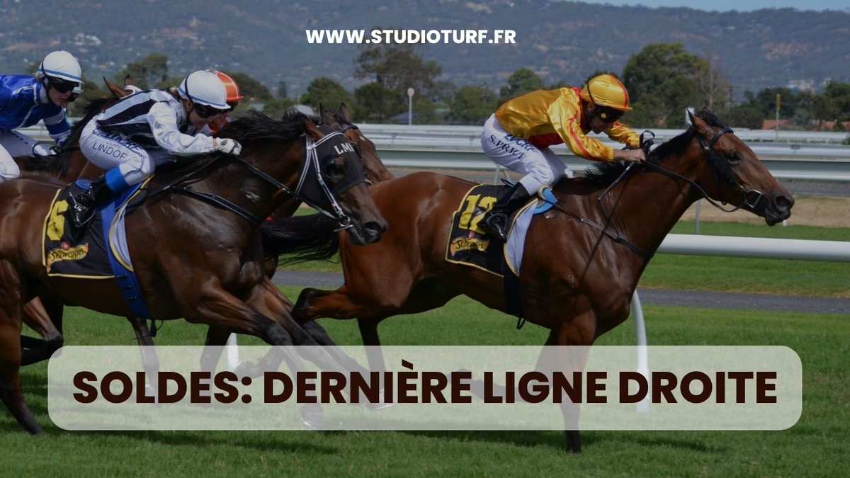 studioturf's tweet image. Les #soldes d'hiver touchent bientôt à leurs fins! Il vous reste encore quelques jours pour profiter de nos supers offres sur nos #logiciels, #abonnements et #ebooks!
De quoi vous donner de #bonstuyaux quand vous allez au #PMU ou à l'#hippodrome!