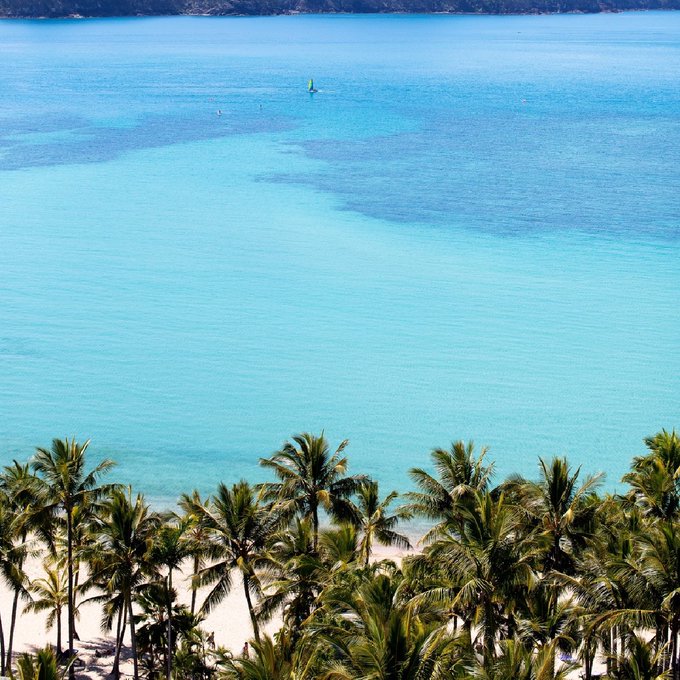 Now, THIS is what dreams are made of 💙🌴  We sure wouldn't mind trading places with IG/kararosenlund,<a href="/tag/seeaustralia"class="tags"><span>#seeaustralia</span></a><a href="/tag/comeandsaygday"class="tags"><span>#comeandsaygday</span></a>