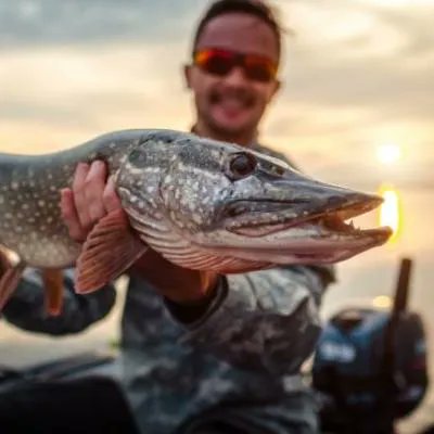 Visit Blekinge tweet media