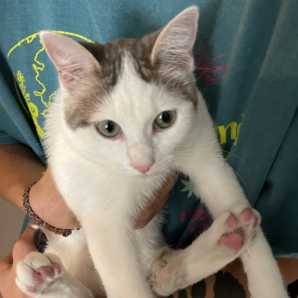 sheerwee's tweet image. le crime                             le criminou