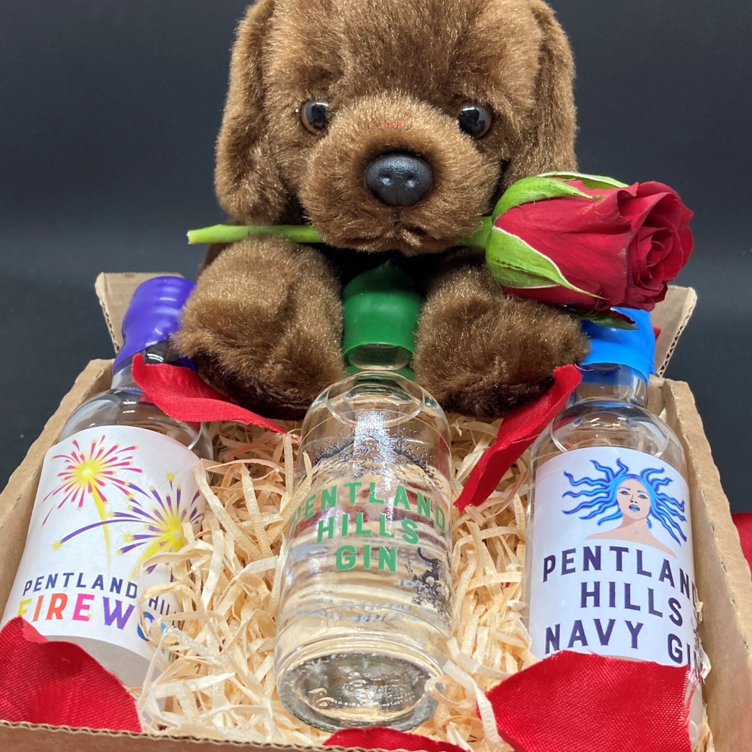 The pawfect Valentines Day gift. Panza's Mini Gift set comes with three mini bottles of our delicious Pentland Hills Gin, in a wee cardboard box, wrapped in wood wool and red petals. Order yours now: bit.ly/3S89CYq

#valentinesday #pentlandhillsgin #gin #love