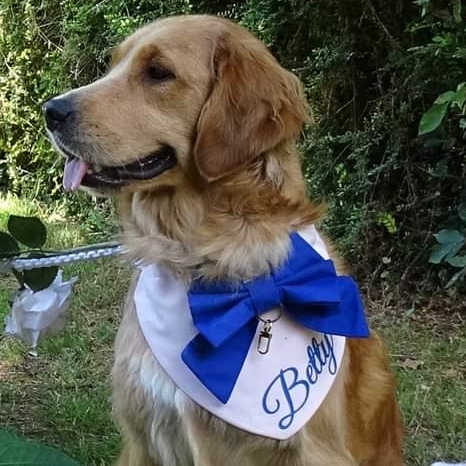 Does your dream wedding include your dog? Let Furrytail Weddings help #furrytailweddingsuk #weddingsarebetterwithdogs #dogsoftwitter #wedding #weddingseason #eurosong2023