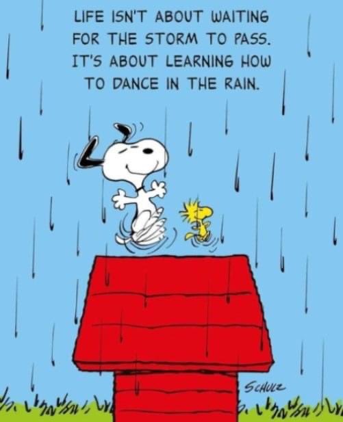 Or as Jon Kabat Zinn said 

You can’t stop the waves but you can learn to surf.

If you are experiencing a challenge in your life right read this over and over again and you mind will switch into the right gear.