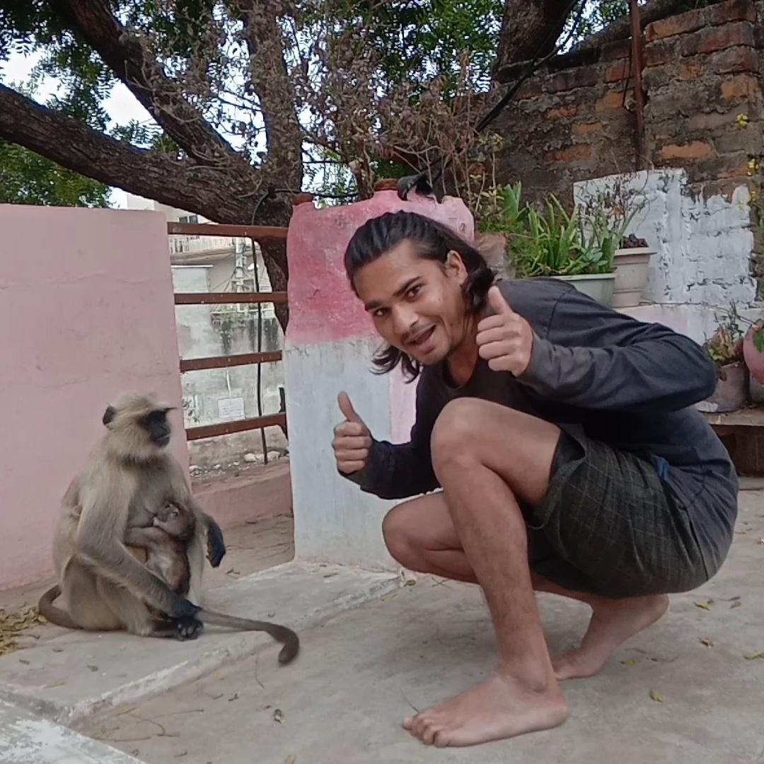 theramson05's tweet photo. "The love for all living creatures is the most noble attribute of man." - Charles Darwin
#Rajendramson
#theramson #saturdayvibes #langoorhumor #funnyanimals https://t.co/hShYCHFk4N
