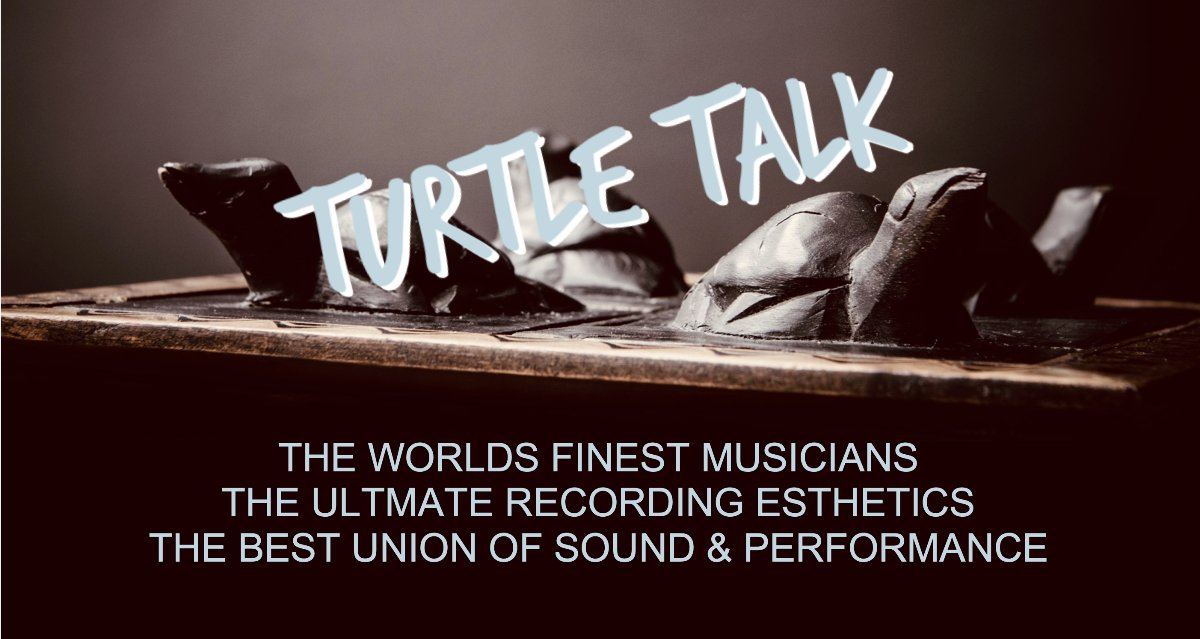 Wolfenstein1964's tweet photo. Turtle Talk | February 2023 - https://t.co/GM0nqnpaTr https://t.co/SH801sZfB6