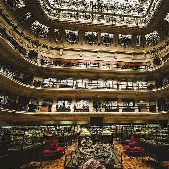 SpainGivers's tweet photo. @MuseoGeominero: '@ankorramos

This is a good chance if you visit Madrid. A beatiful building where you can know about mining in Spain, antropology and natural history. There’re millions of fossils in the windows. ' https://t.co/wWtLoyXlT8, see more https://t.co/f0J6H7dBsl