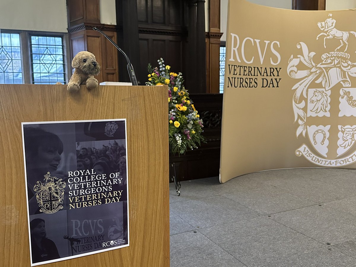 Back in the #ExaminationsHall #OxfordUni the #PresidentialPup ready for @theRCVS RVN admission ceremonies @theRCVS @Melissavet64