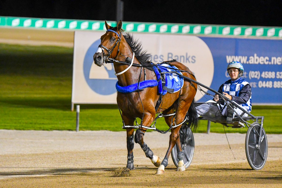 ClubMenangle's tweet photo. B D Joe NZ strikes in the Cordina Chicken Farms Chariots of Fire 18 Feb Pace for Stephen Telfer and Tim Williams in a mile rate of 1.50.6!🥇💥
#ClubMenangle @HRNSW_Harness @HarnessRacingNZ https://t.co/JPH4XTIrWL