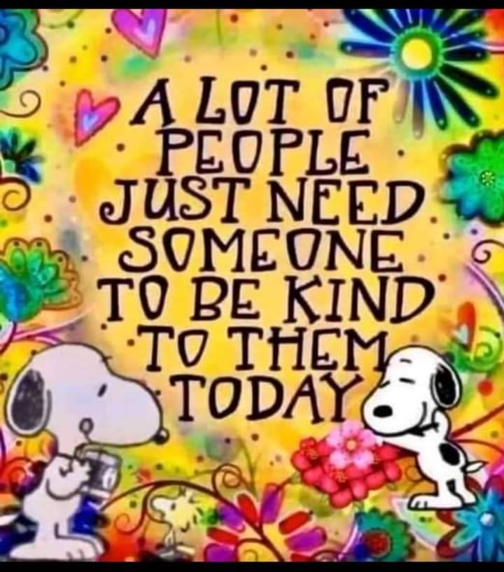 David Mcloughlin tweet media