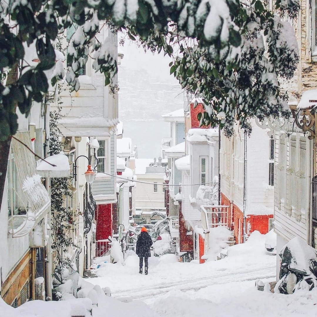 BEAUTIFULBALKA's tweet photo. #Turkey 🇹🇷🇹🇷
Location📍Istanbul
Follow ➡️↪️ @BEAUTIFULBALKA
#beautifulbalkans #beautifulturkey
.
.
.
#visitTurkey #VisitIstanbul #discoverbalkans #discoverturkey
#istanbul #Turkish https://t.co/Cn8BCU6m7i