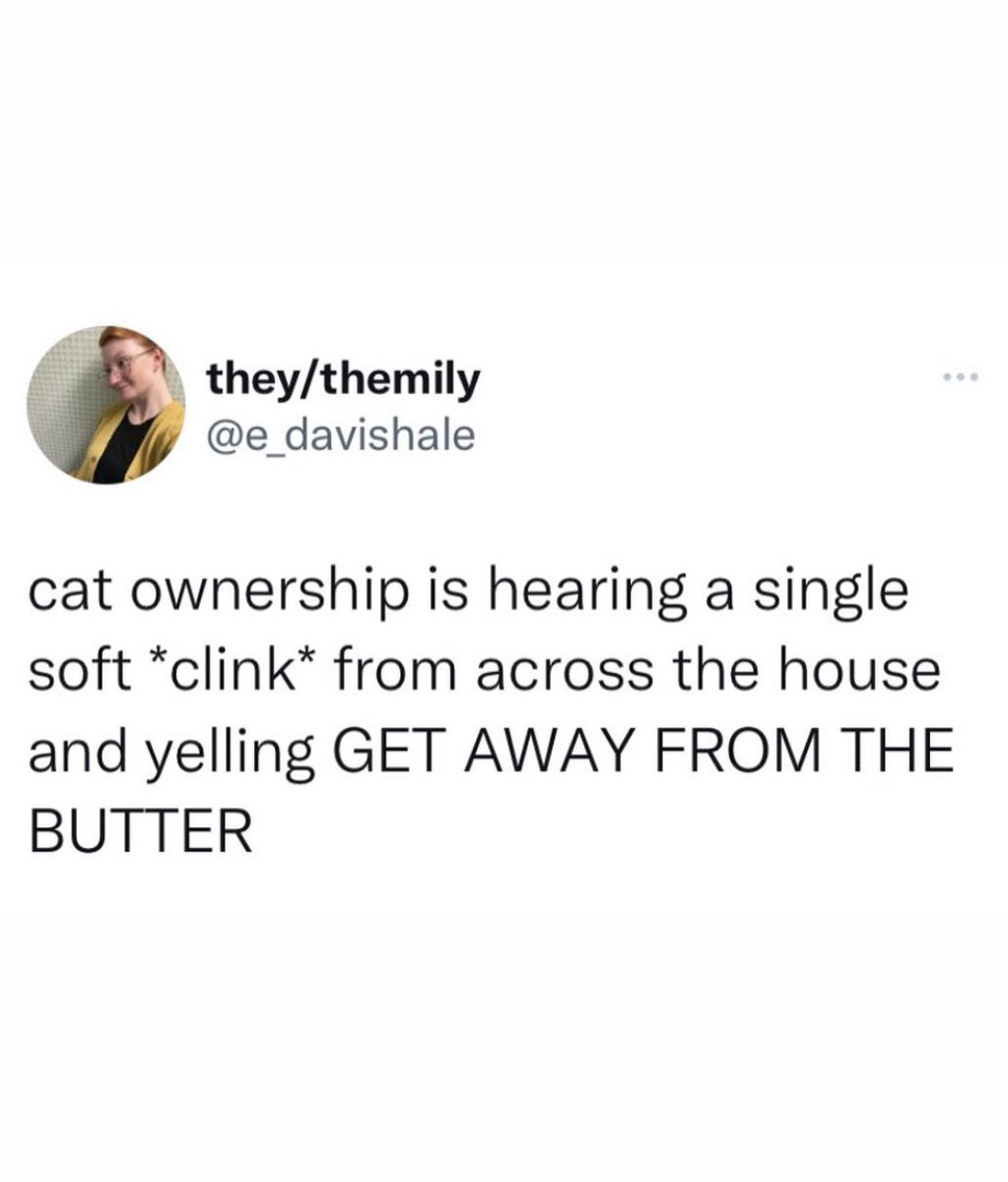 This is probably one of the most true statements I’ve ever read