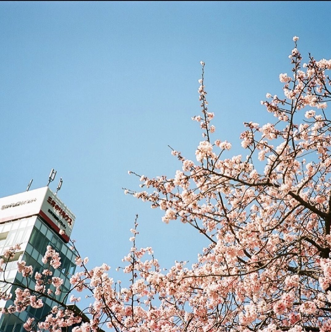 ขายกล้อง Canon Autoboy 3 
เนื่องจากไม่ค่อยได้ใช้งาน สภาพ Top mint สวยมีรอยเล็กน้อย  ทำงานเต็มระบบ ตัวกล้อง Auto ล้วน ถ่ายง่ายมากๆ แฟลชติด ไร้ฝ้า ไร้รา 
ของแถม ถ่าน 2Cr5,สายแท้
ราคา 3390 บาท รวมส่ง
#กล้องฟิล์มราคาถูก #กล้องฟิล์มมือสอง #กล้องฟิล์ม #กล้องฟิล์มญี่ปุ่น #canonautoboy3