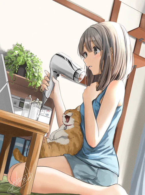イラスト「ひだまりの朝」 #君と猫の日常  