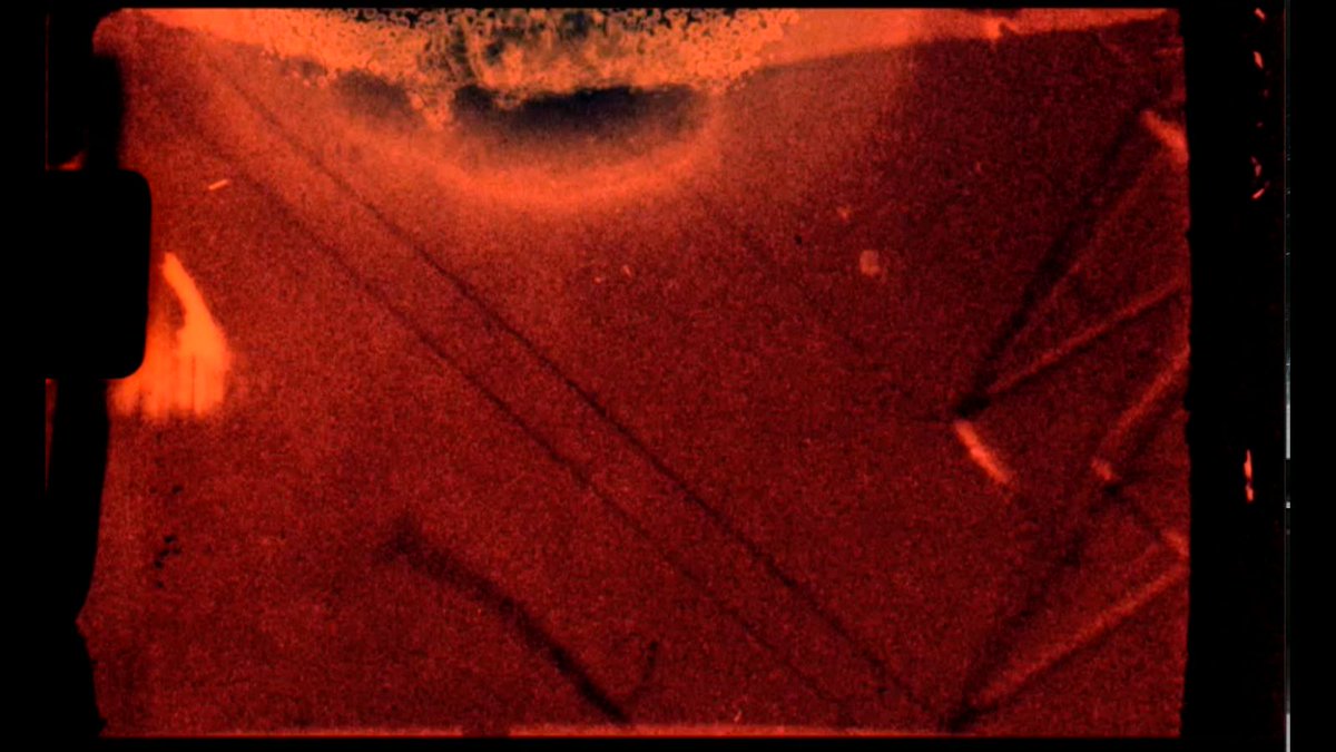 Into The Mothlight Podcast tweet media