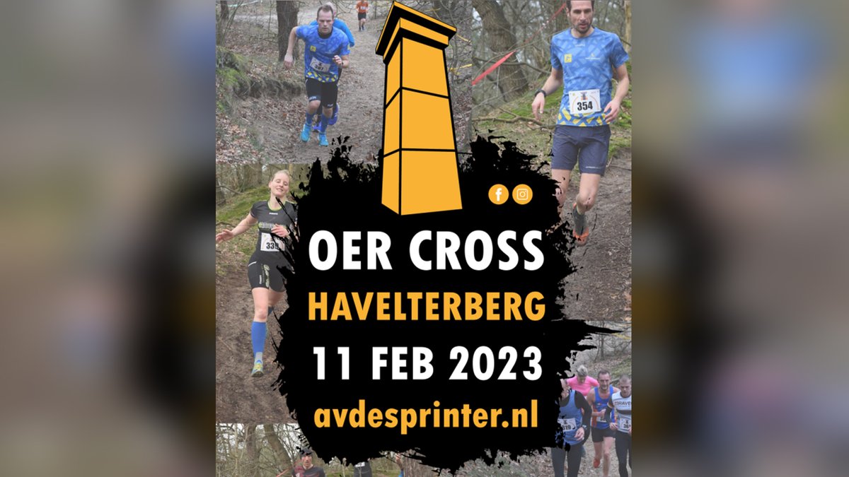 Oercross Havelterberg: zand, heuveltjes, bospaden, heide - rtvmeppel.nl/oercross-havel…