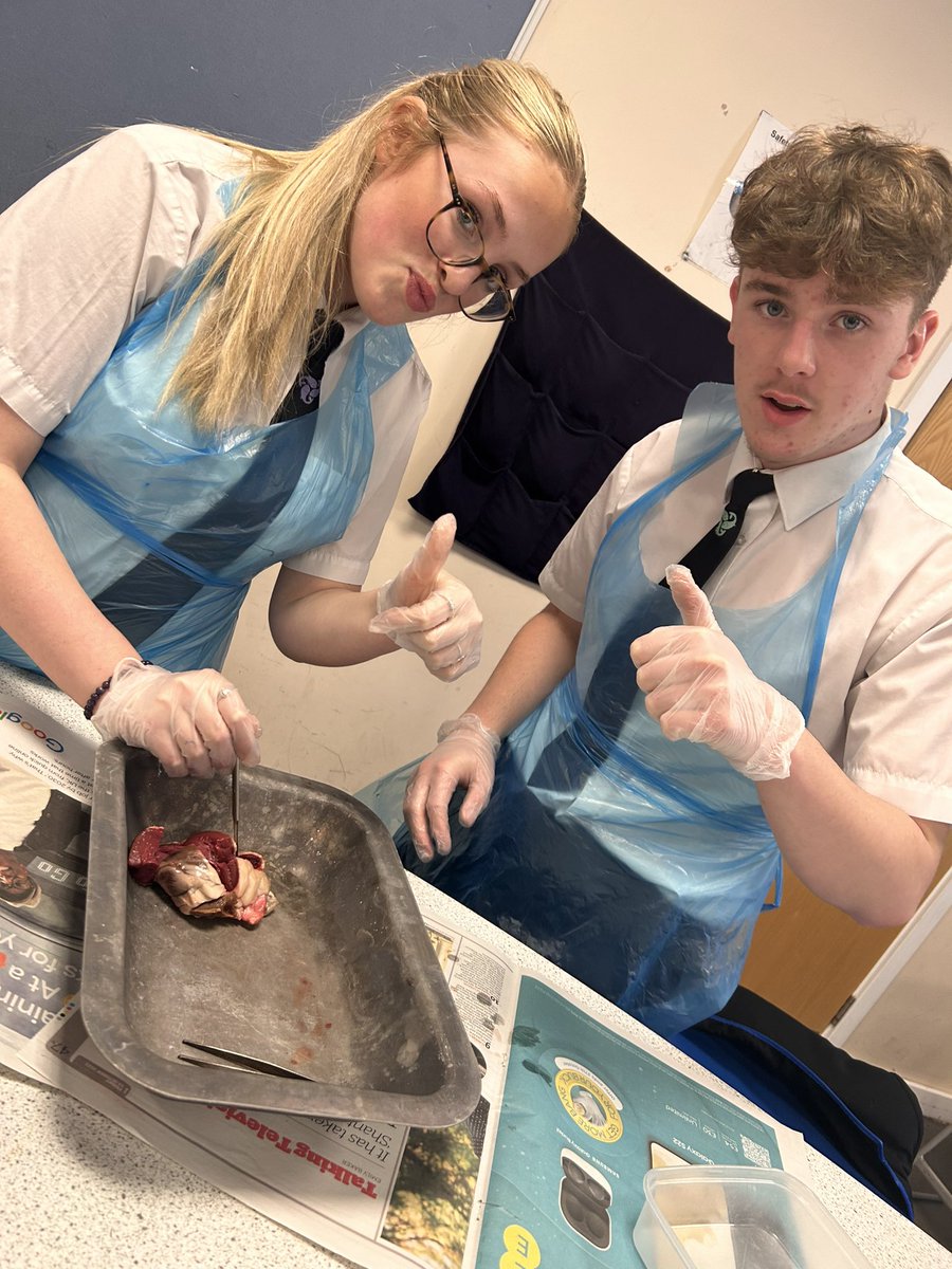 BBSScience1's tweet photo. Heart dissections - some great hands on learning! Mrs Hawkins’ wonderful Y10 triple science students. A great Friday afternoon. https://t.co/NYqYBKmd7e