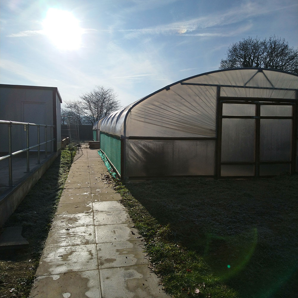 Take a look at the working and in use poly tunnel at Mulberry Gardens! The site is coming along brilliantly and we will have more updates soon!, but we are preparing the raised flower beds as well as working in this massive poly tunnel!!