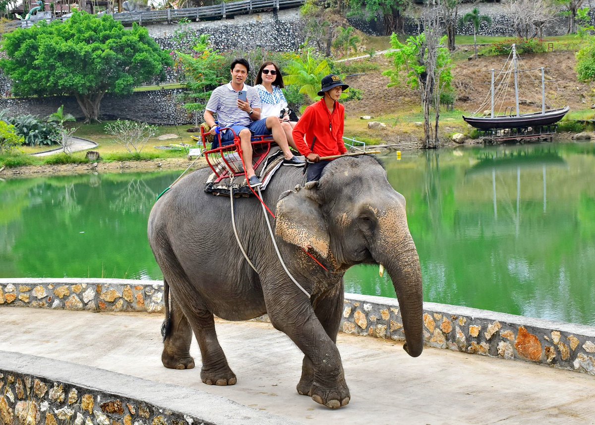 ChuDungHa's tweet photo. Thailand 2023 https://t.co/SzTCNuYwir