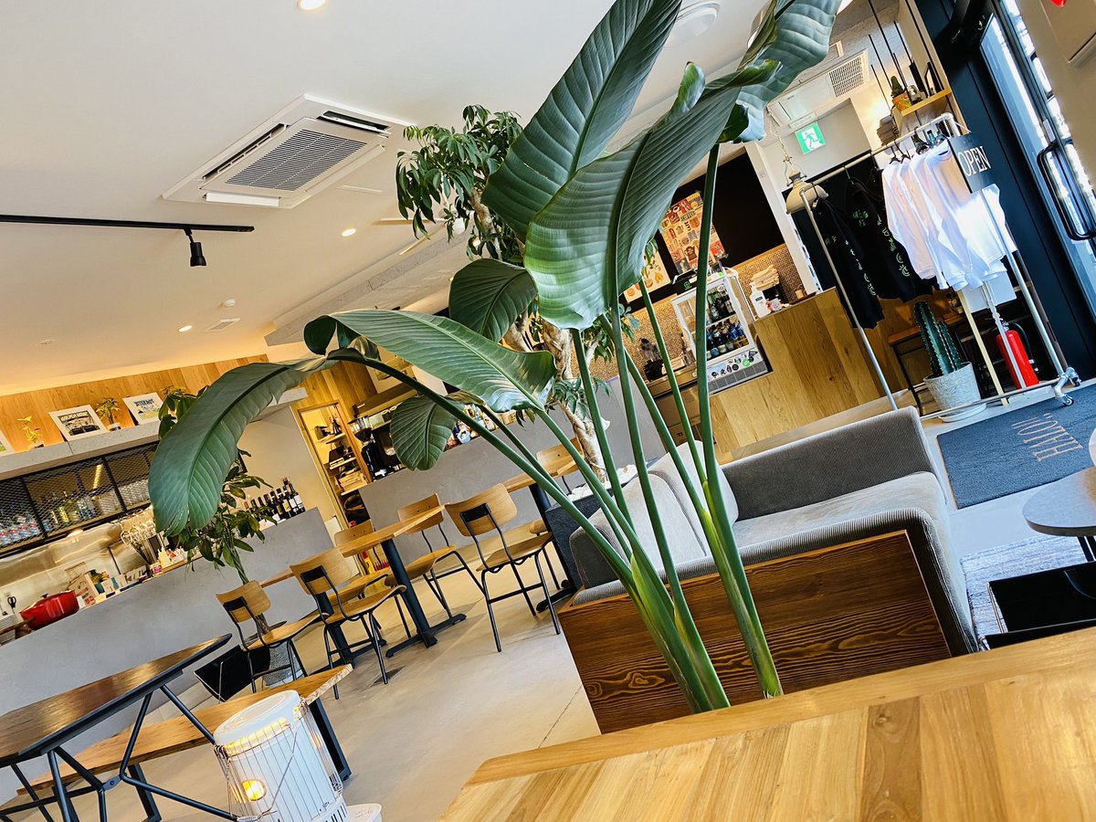 ShigeandAki's tweet photo. ずっと行きたかったcafeへ🥞
パンケーキと新鮮フルーツが盛り沢山で美味しかった🍓
2023.2.4
#halocafe #halo #タナカフルーツ #いちごのパンケーキ #グレープフルーツジュース #ロコモコ #勝瀬原記念公園 #富士見市 https://t.co/sZOA9zAOPT