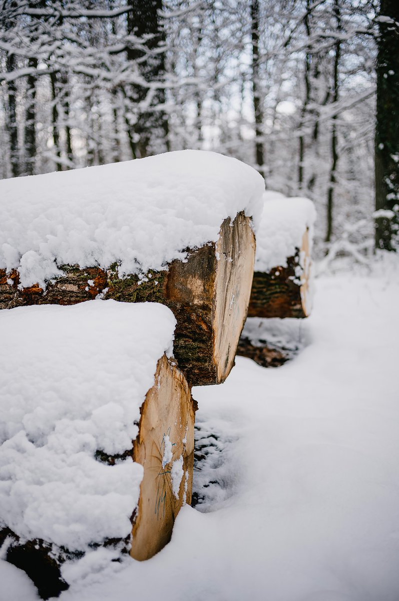 #Snow-covered logs | #Flickr: kurz.co/h3

🗓 01-2023 | 📷 #LeicaM11 | ⚪️ #SummiluxM #35mm | #SummiluxM35mmFLEII #Leica #LeicaM #LeicaCamera #ライカ #photo #photography #madeinwetzlar #Summilux #FLE2 #bokehlicious #玉ボケ #depthoffield
