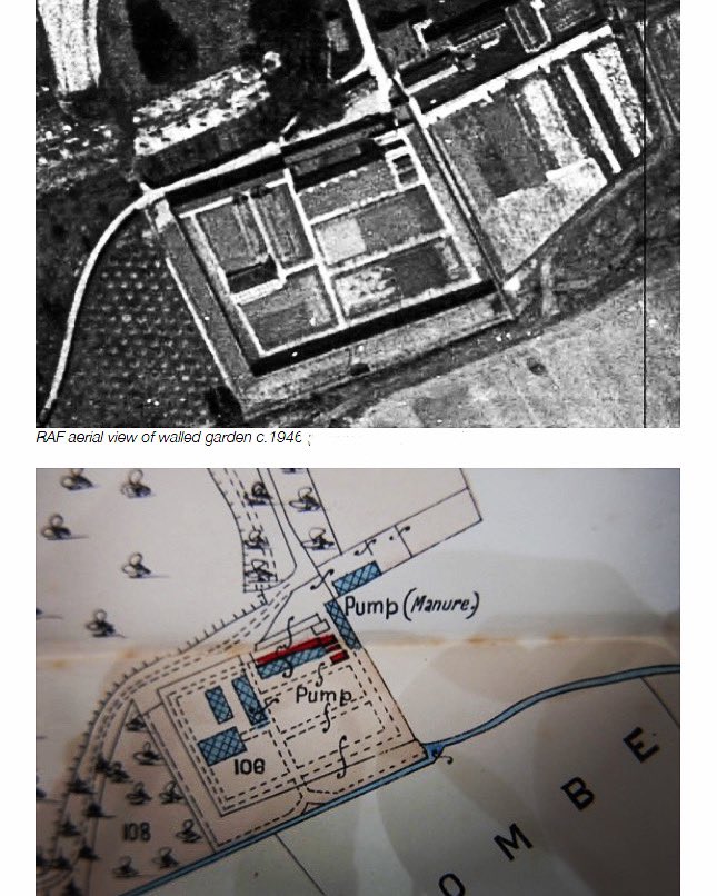 In Ex Design tweet media