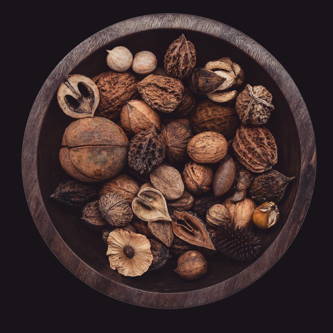 #Juglandaceae. #Walnuts and #hickories in a bowl of black walnut wood.