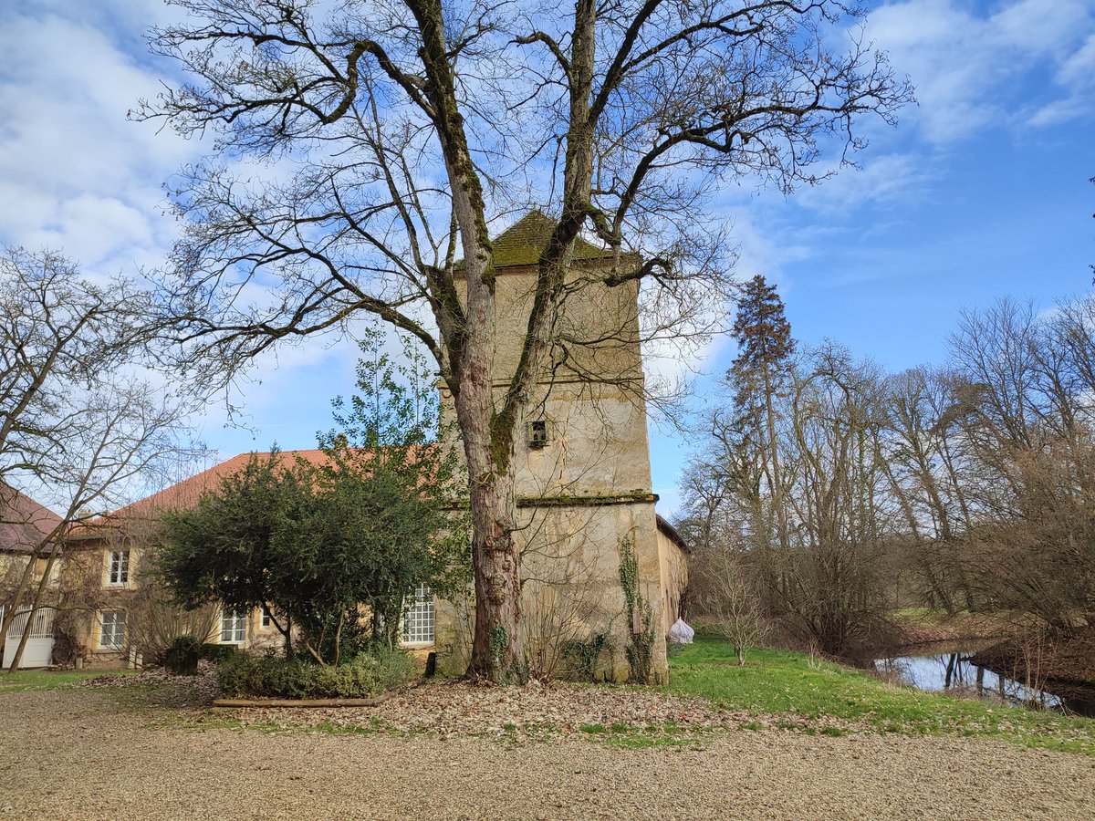 Le vieux #colombier du XVI ème siècle veille au bord des #douves 😌 #weekend #Patrimoine #nature