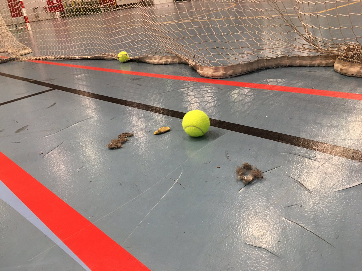 Frederic Villieras tweet media