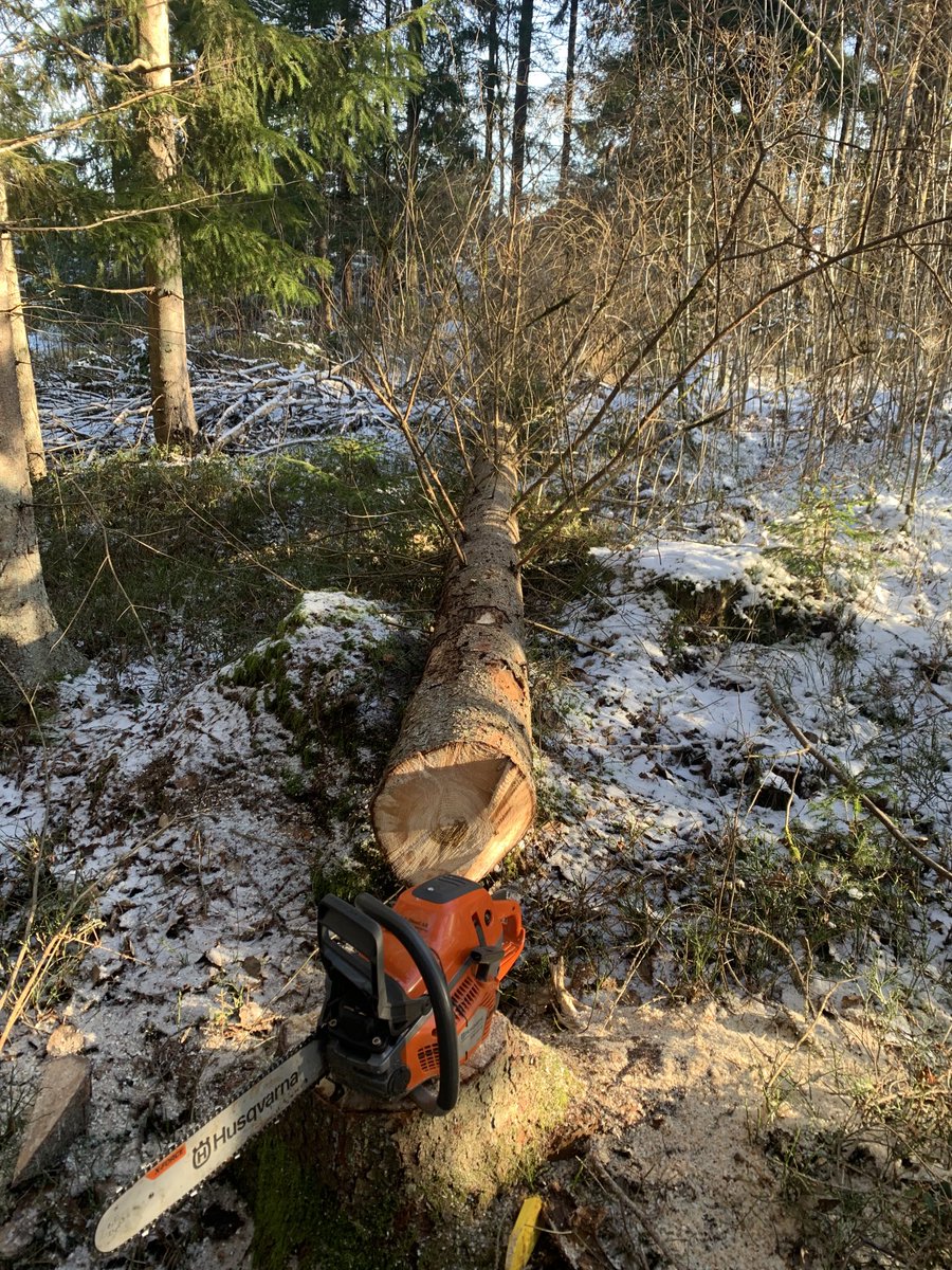 Idag ägnar man sig åt skyddsjakt på smådjävlar.