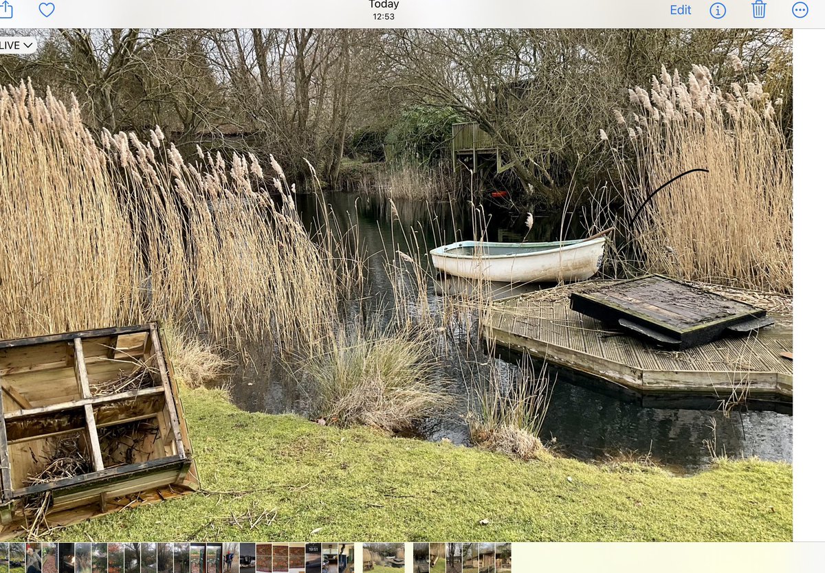 Duck house renovations! #woodlandcampsite#glamping suffolk#cabin in the woods#adultonly#dogfriendly camping