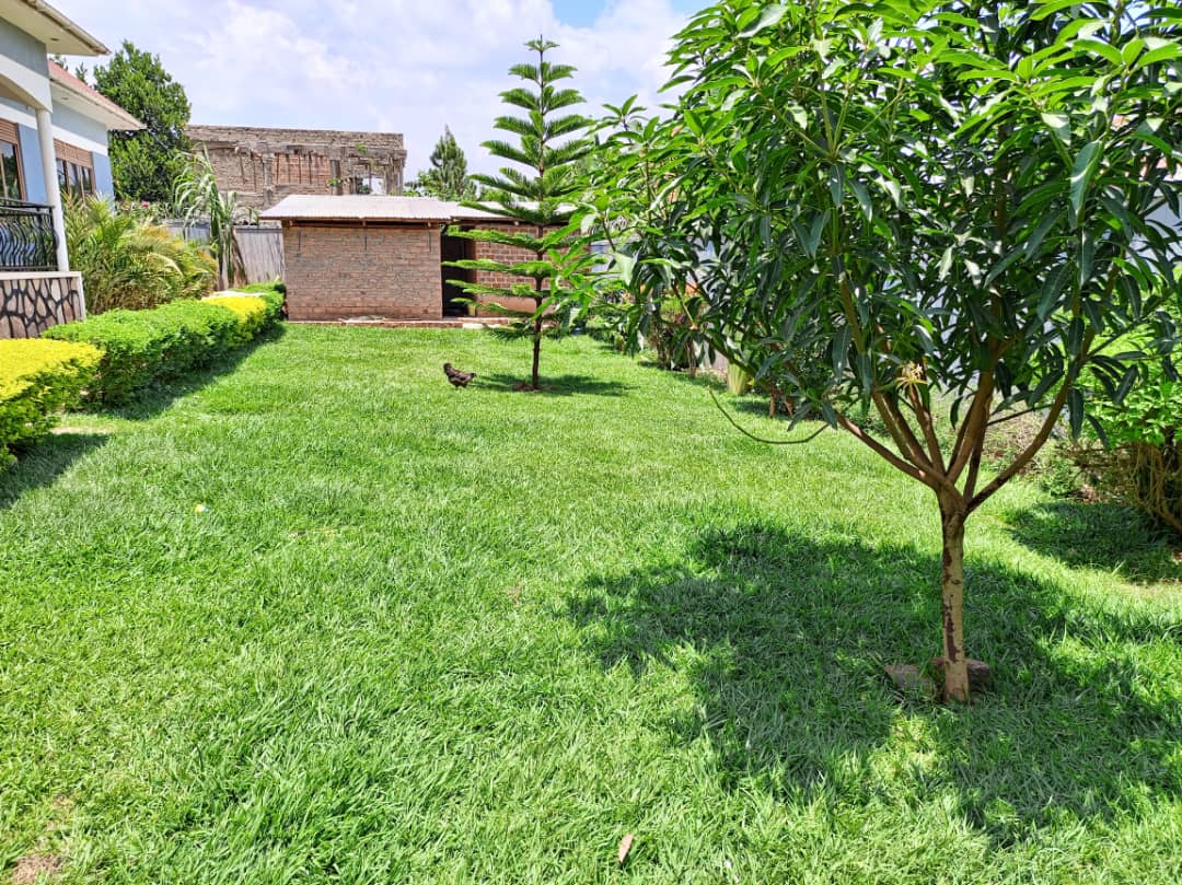 shukranproperty's tweet photo. House is available for sale located at Janyi, Bwebajja on Entebbe road it has got #4bedrooms dinning, sitting room kitchen seated on #20decimals private mile land title on the table FIXED price is #240m
๐ค Call 0706592177 https://t.co/KHoxEAF2vu
