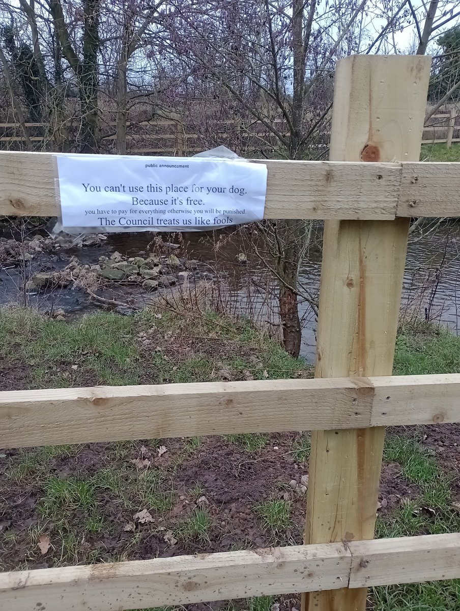 Laura Wigg-Bailey tweet media